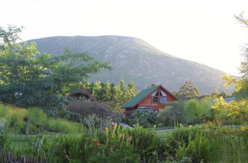 Tsitsikamma Lodge (6)